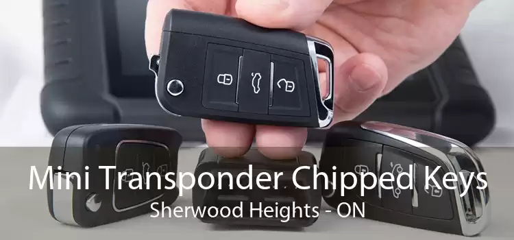 Mini Transponder Chipped Keys Sherwood Heights - ON