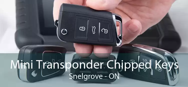 Mini Transponder Chipped Keys Snelgrove - ON