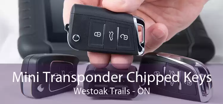 Mini Transponder Chipped Keys Westoak Trails - ON