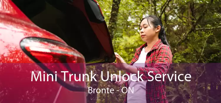 Mini Trunk Unlock Service Bronte - ON