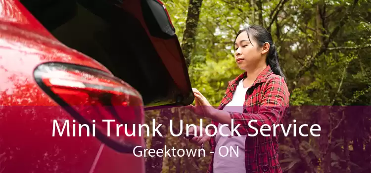 Mini Trunk Unlock Service Greektown - ON