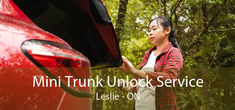 Mini Trunk Unlock Service Leslie - ON