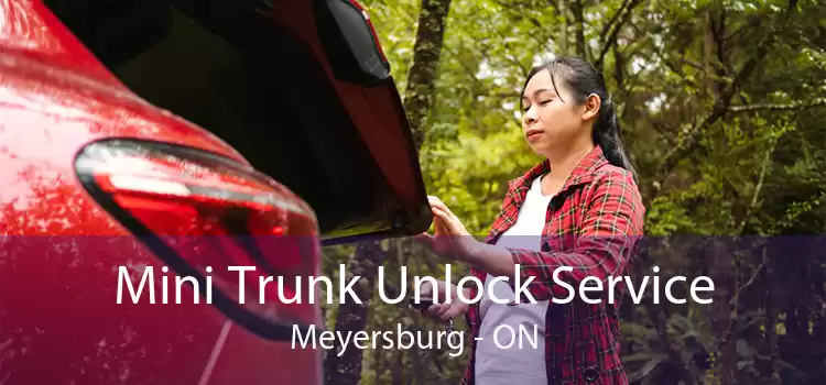 Mini Trunk Unlock Service Meyersburg - ON