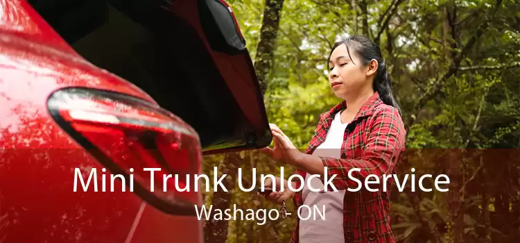 Mini Trunk Unlock Service Washago - ON