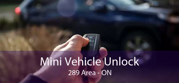 Mini Vehicle Unlock 289 Area - ON