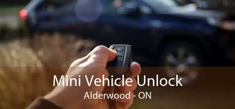 Mini Vehicle Unlock Alderwood - ON