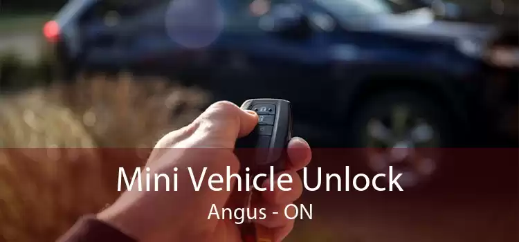 Mini Vehicle Unlock Angus - ON