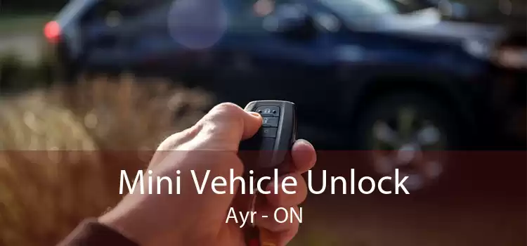 Mini Vehicle Unlock Ayr - ON