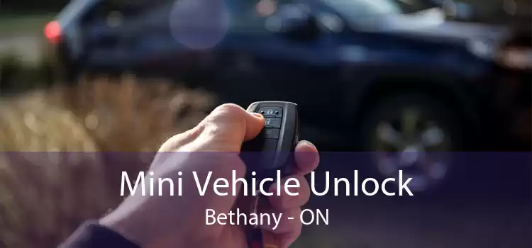 Mini Vehicle Unlock Bethany - ON