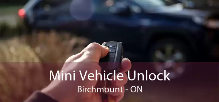 Mini Vehicle Unlock Birchmount - ON