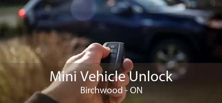 Mini Vehicle Unlock Birchwood - ON