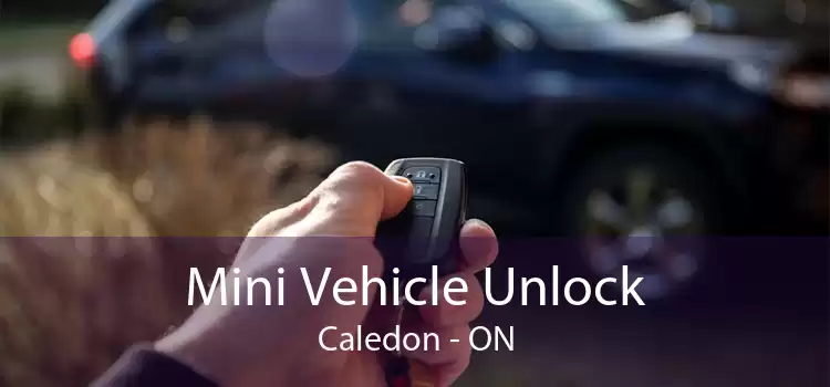 Mini Vehicle Unlock Caledon - ON