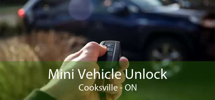 Mini Vehicle Unlock Cooksville - ON