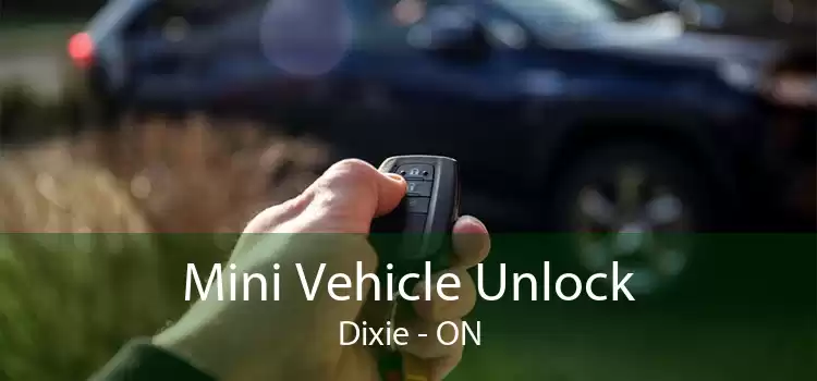 Mini Vehicle Unlock Dixie - ON