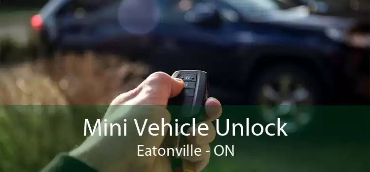 Mini Vehicle Unlock Eatonville - ON