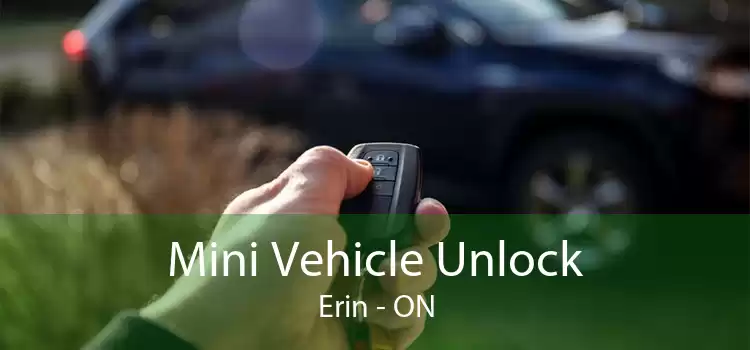 Mini Vehicle Unlock Erin - ON