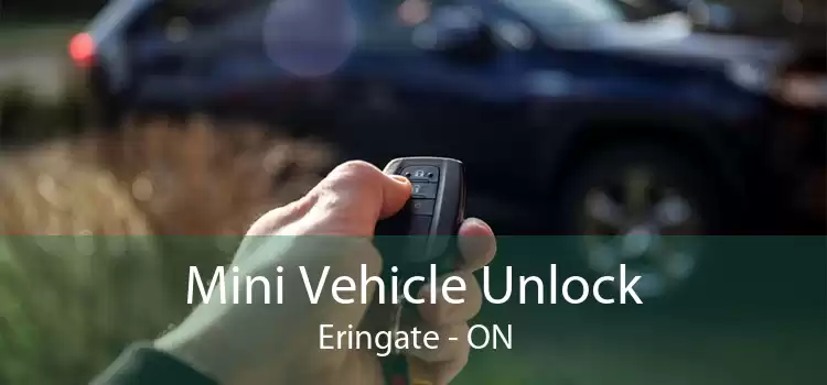 Mini Vehicle Unlock Eringate - ON