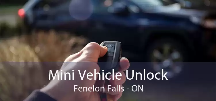 Mini Vehicle Unlock Fenelon Falls - ON