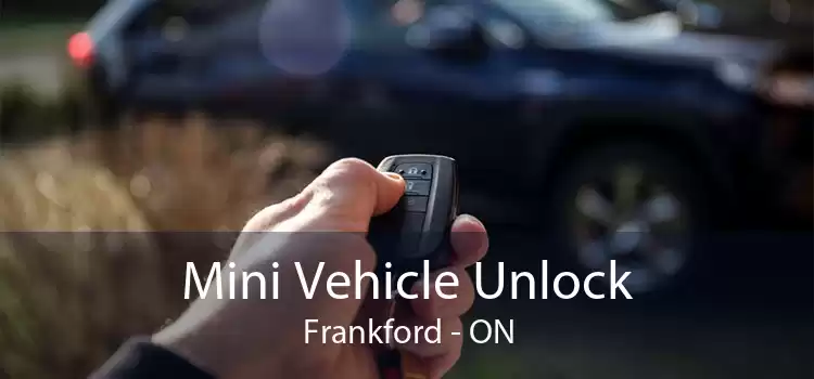 Mini Vehicle Unlock Frankford - ON