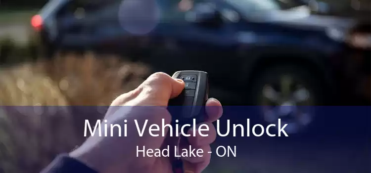Mini Vehicle Unlock Head Lake - ON