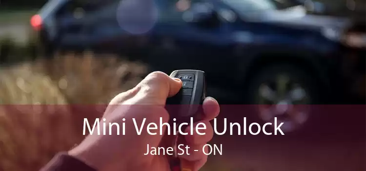 Mini Vehicle Unlock Jane St - ON