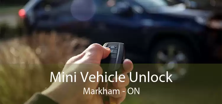 Mini Vehicle Unlock Markham - ON