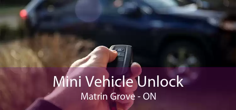 Mini Vehicle Unlock Matrin Grove - ON