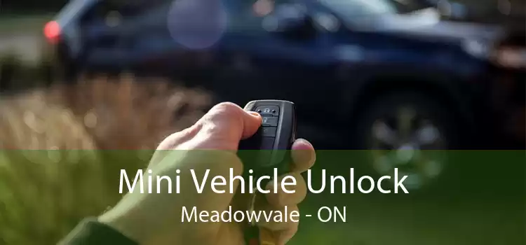 Mini Vehicle Unlock Meadowvale - ON