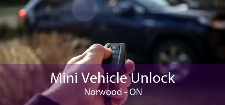 Mini Vehicle Unlock Norwood - ON