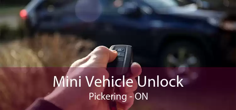 Mini Vehicle Unlock Pickering - ON