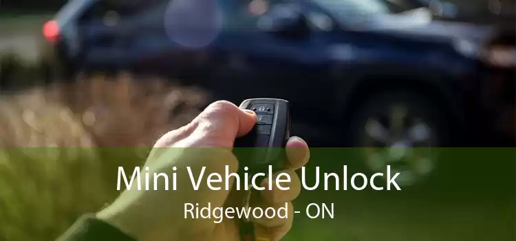 Mini Vehicle Unlock Ridgewood - ON