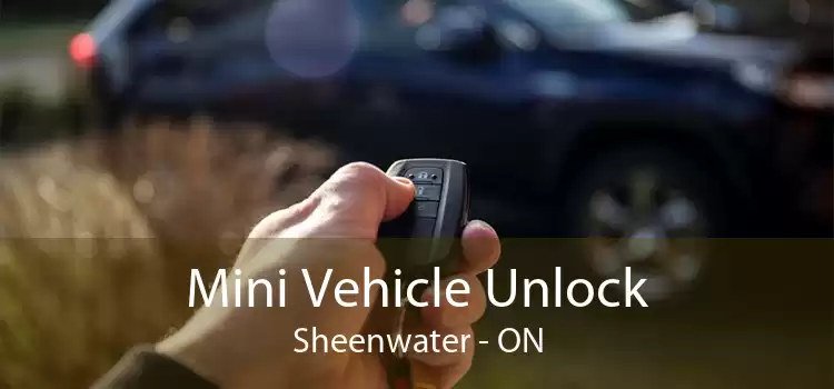 Mini Vehicle Unlock Sheenwater - ON