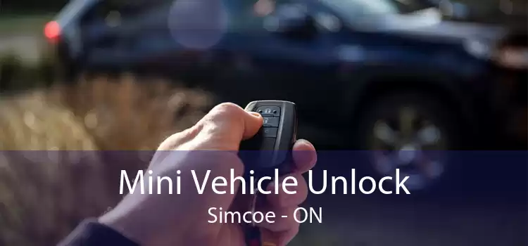Mini Vehicle Unlock Simcoe - ON