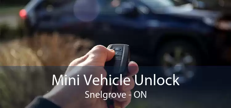 Mini Vehicle Unlock Snelgrove - ON