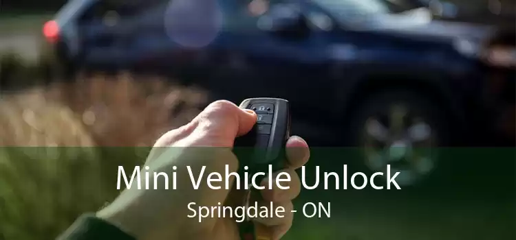 Mini Vehicle Unlock Springdale - ON