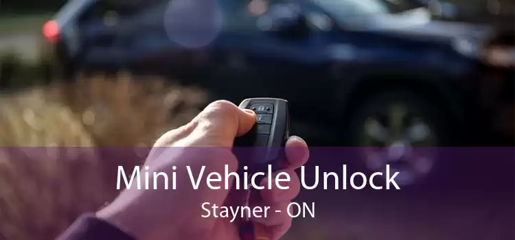 Mini Vehicle Unlock Stayner - ON