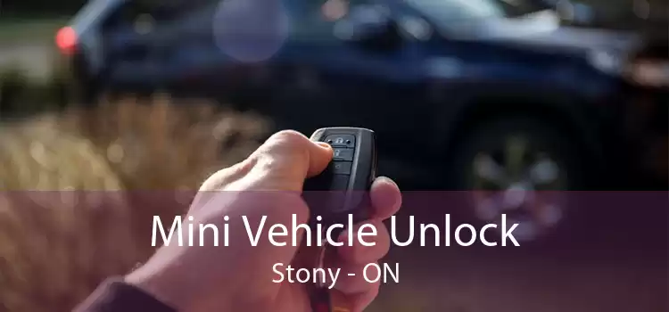 Mini Vehicle Unlock Stony - ON