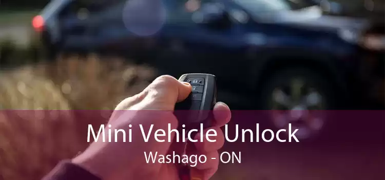 Mini Vehicle Unlock Washago - ON