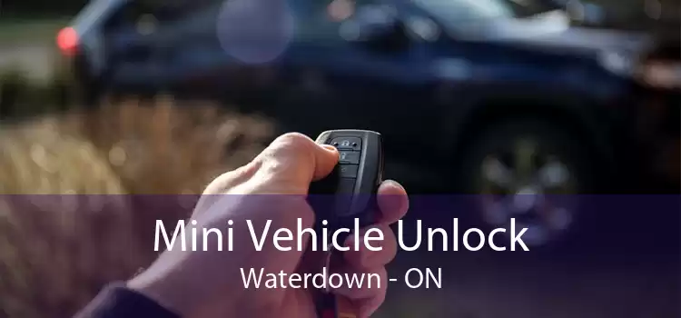 Mini Vehicle Unlock Waterdown - ON