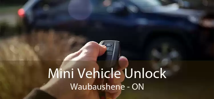 Mini Vehicle Unlock Waubaushene - ON