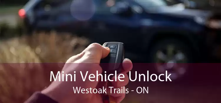 Mini Vehicle Unlock Westoak Trails - ON
