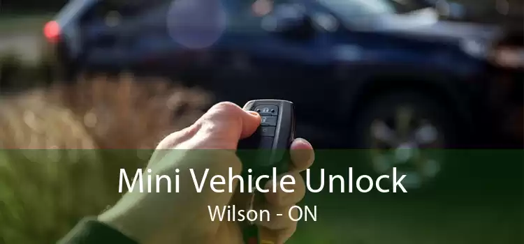 Mini Vehicle Unlock Wilson - ON