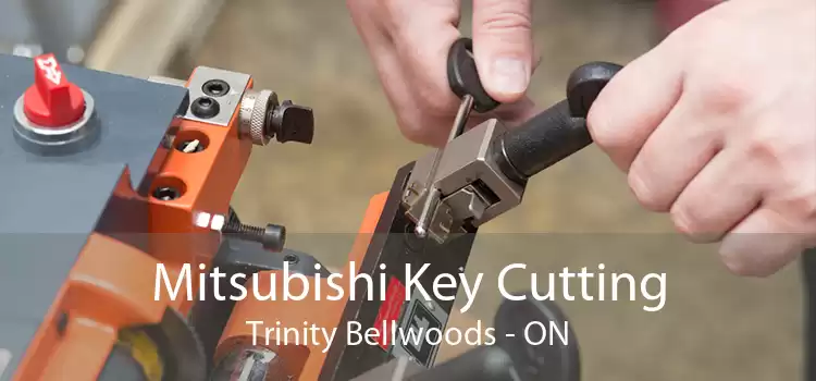 Mitsubishi Key Cutting Trinity Bellwoods - ON