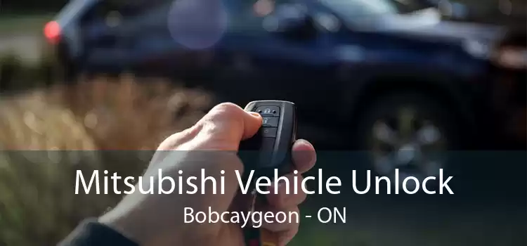 Mitsubishi Vehicle Unlock Bobcaygeon - ON