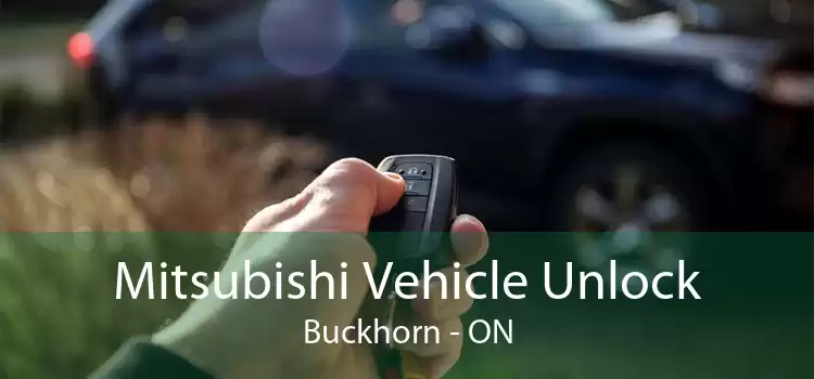 Mitsubishi Vehicle Unlock Buckhorn - ON