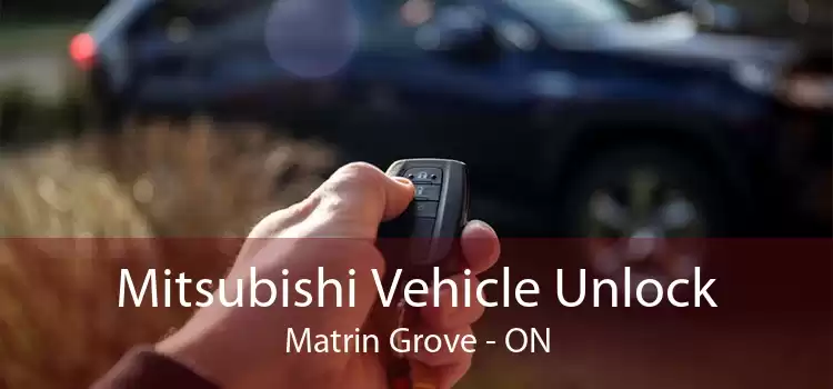 Mitsubishi Vehicle Unlock Matrin Grove - ON