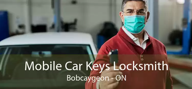 Mobile Car Keys Locksmith Bobcaygeon - ON