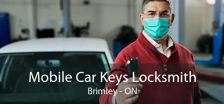 Mobile Car Keys Locksmith Brimley - ON