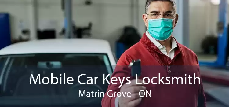 Mobile Car Keys Locksmith Matrin Grove - ON