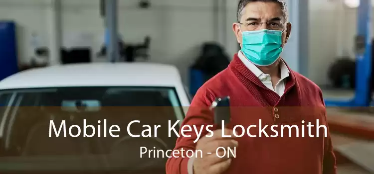 Mobile Car Keys Locksmith Princeton - ON